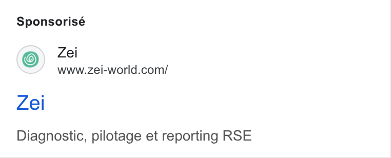 Zei ad on Google Ads: Sponsorisé Zel Diagnostic, pilotage et reporting RSE