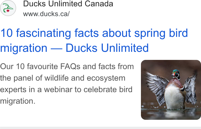 DonorDrive ad on Google Ads: 10 fascinating facts about spring bird migration — Ducks Unlimited Our 10 favourite FAQs and facts from the panel of wildlife and ecosystem experts in a webinar to celebrate bird migration.