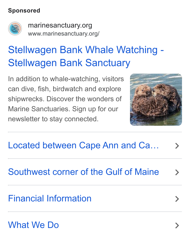 Give Lively ad on Google Ads: www.marinesanctuary.org/ Stellwagen Bank Whale Watching - Stellwagen Bank Sanctuary In addition to whale-watching, visitors ee can dive, fish, birdwatch and explore shipwrecks. Discover the wonders of Marine Sanctuaries. Sign up for our newsletter to stay connected. Located between Cape Ann and Ca... > Southwest corner of the Gulf of Maine > Financial Information > What We Do >