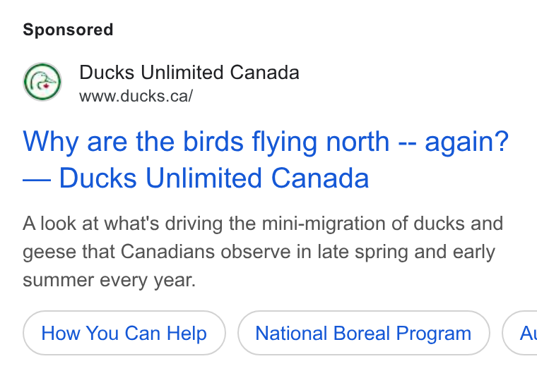 DonorDrive ad on Google Ads: Why are the birds flying north -- again? Ducks Unlimited Canada A look at what's driving the mini-migration of ducks and geese that Canadians observe in late spring and early summer every year. How You Can Help National Boreal Program (A