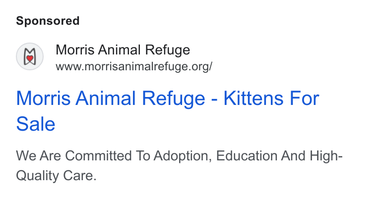 Bloomerang ad on Google Ads: Morris Animal Refuge - Kittens For Sale We Are Committed To Adoption, Education And High- Quality Care.