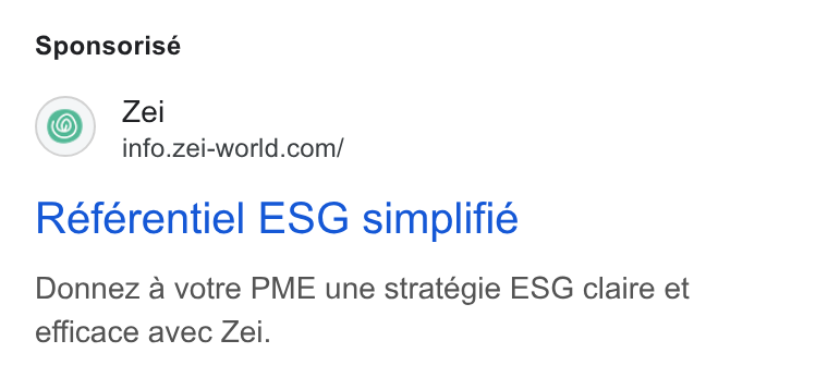 Zei ad on Google Ads: Sponsorisé Referentiel ESG simplifie Donnez a votre PME une stratégie ESG claire et efficace avec Zei.