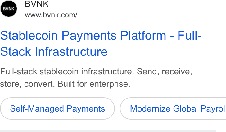 BVNK ad on Google Ads: Stablecoin Payments Platform - Full- Stack Infrastructure Full-stack stablecoin infrastructure. Send, receive, store, convert. Built for enterprise. Self-Managed Payments }( Modernize Global Payrol