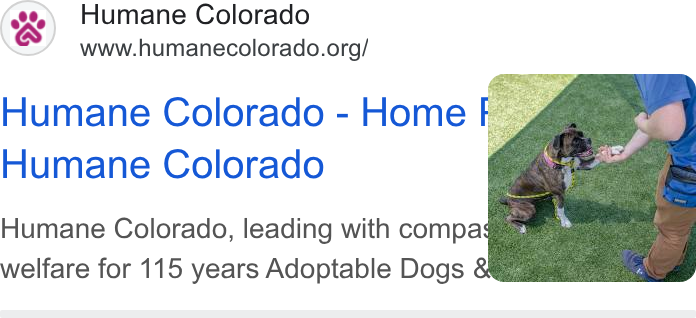 Acuity Scheduling ad on Google Ads: Humane Colorado - Home Humane Colorado Humane Colorado, leading with compa . ey welfare for 115 years Adoptable Dogs 8Xggisias