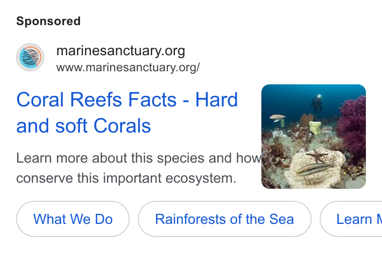 Give Lively ad on Google Ads: www.marinesanctuary.org/ Coral Reefs Facts - Hard and soft Corals Learn more about this species and ho conserve this important ecosystem. What We Do Rainforests of the Sea Learn h