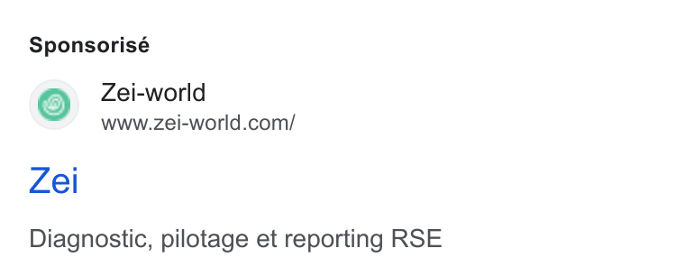 Zei ad on Google Ads: Sponsorisé Zel Diagnostic, pilotage et reporting RSE