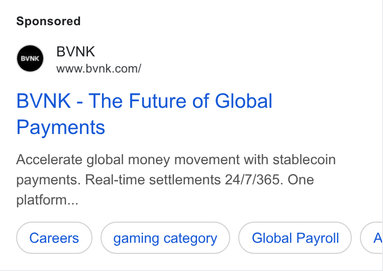 BVNK ad on Google Ads: BVNK - The Future of Global Payments Accelerate global money movement with stablecoin payments. Real-time settlements 24/7/365. One platform... gaming category Global Payroll