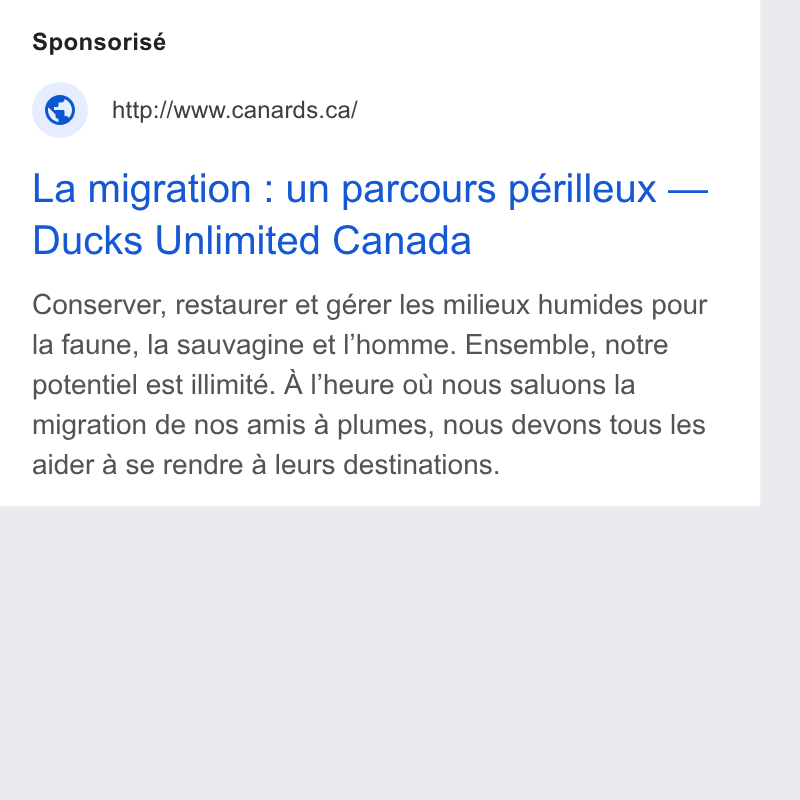 DonorDrive ad on Google Ads: La migration : un parcours périlleux — Ducks Unlimited Canada Conserver, restaurer et gérer les milieux humides pour la faune, la sauvagine et l'homme. Ensemble, notre potentiel est illimité. A [heure o W nous saluons la migration de nos amis a plumes, nous devons tous les aider a se rendre a leurs destinations.