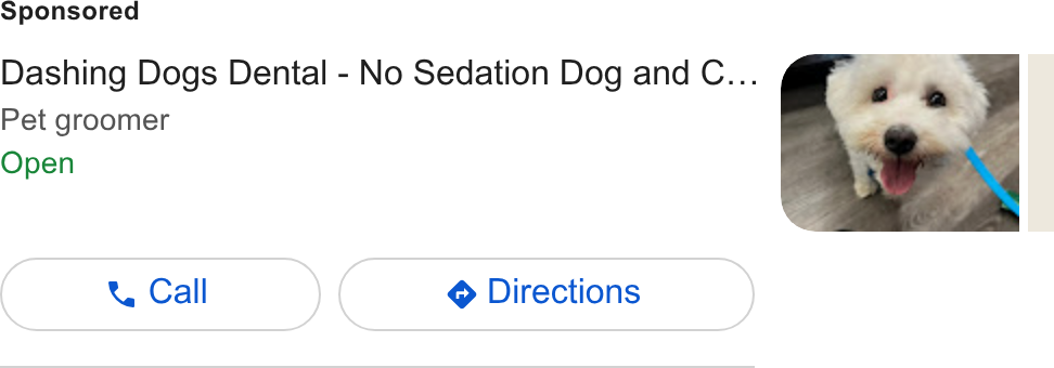 MyTime ad on Google Ads: Dashing Dogs Dental - No Sedation Dog and C... Pet groomer Open