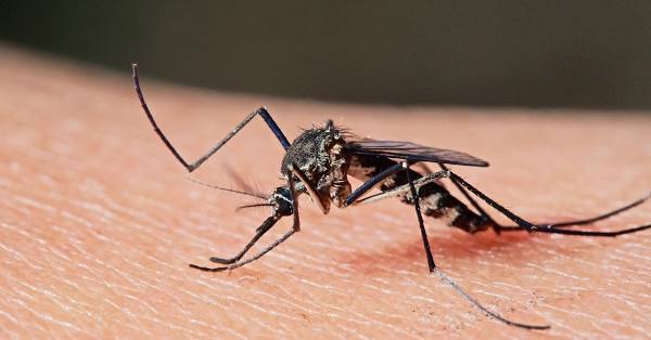 11996273927778634420