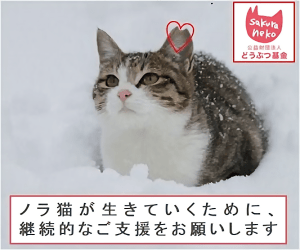 12281545674900406960