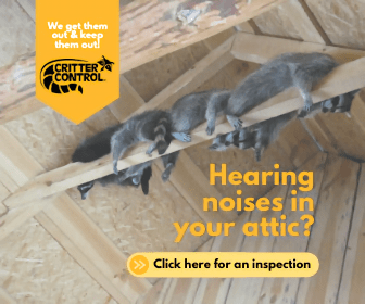 13573552320543007018