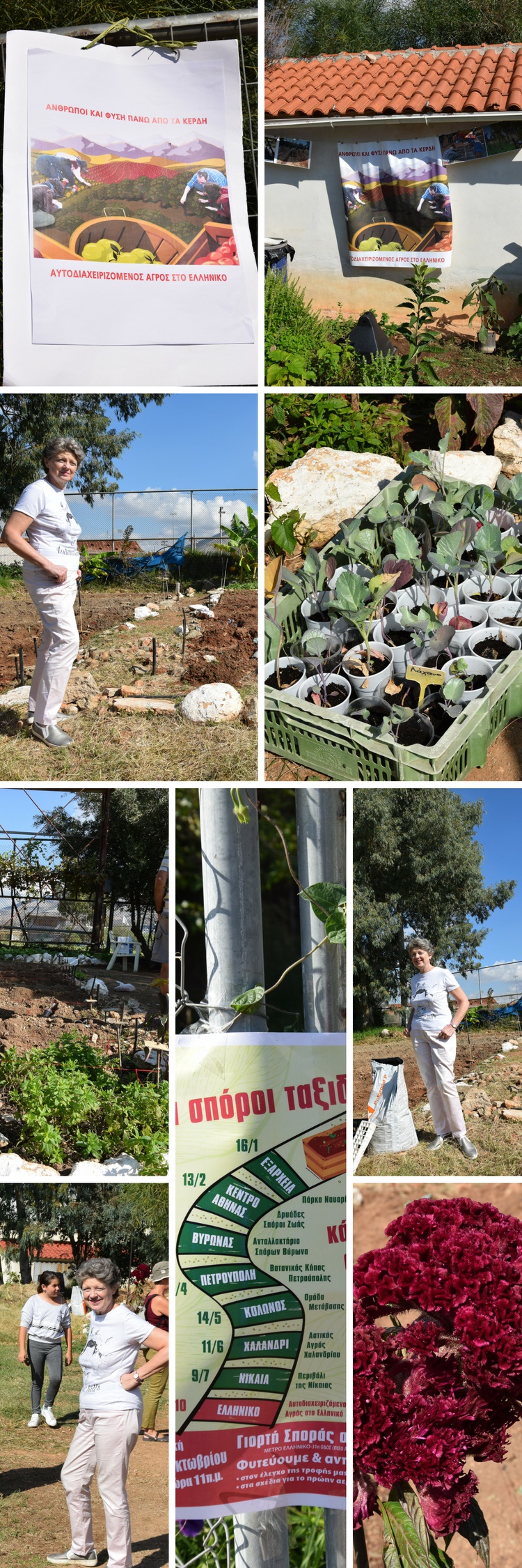 Η Ρίτα Χαριτάκη στον αυτοδιαχειριζόμενο αγρό του Ελληνικού - Φωτογραφίες στην Εναλλακτική Δράση