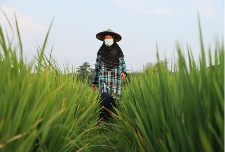 Sempat Khawatir Tabungan Hilang Saat Bank Bangkrut, Ini Kisah 3 Nasabah Simpanannya Diganti oleh LPS