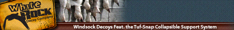 White Rock Decoys