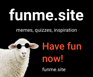 funme.site_banner_300x250__3_.png
