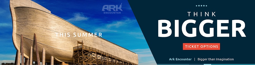 10703878890729165572