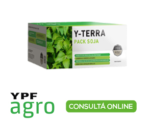 Alerta por la aparici&oacute;n de pulg&oacute;n en sorgo: qu&eacute; recomiendan para controlar esta devastadora plaga