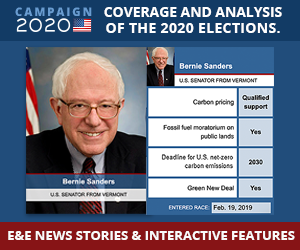 CAMPAIGN 2020: An E&E Series