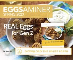 American Egg Board's Spring Eggsaminer