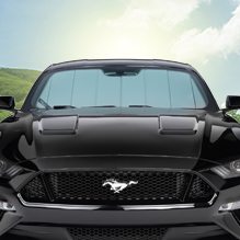 UVS100 CUSTOM SUNSCREEN