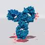 Imagem de biofidus.com