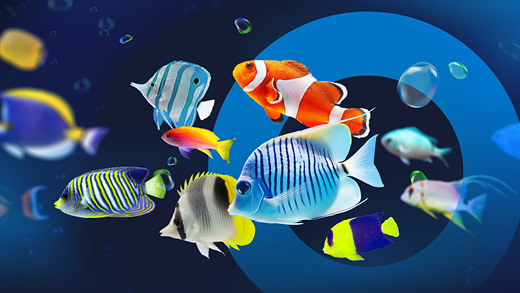 Ihr Perfect Catch im Payment – aus über 50 Acquirern.