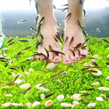 Image de promotion associée à un lieu