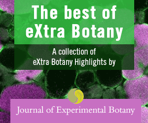 The best of eXtra Botany. A collection of eXtra Botany Highlights by the Journal of Experimental Botany.