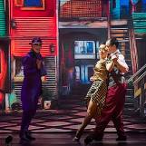 Imagen de tangoshowba.com