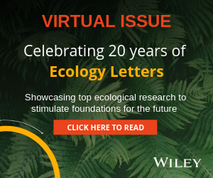 ELE 20th anniversary VI_2019 - Block 300x250 House Ad