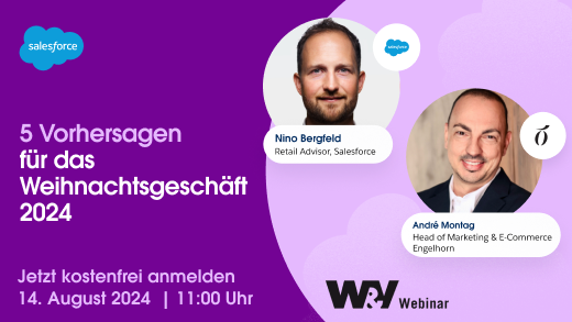 Kostenloses Webinar: Strategien für das Weihnachtsgeschäft 2024